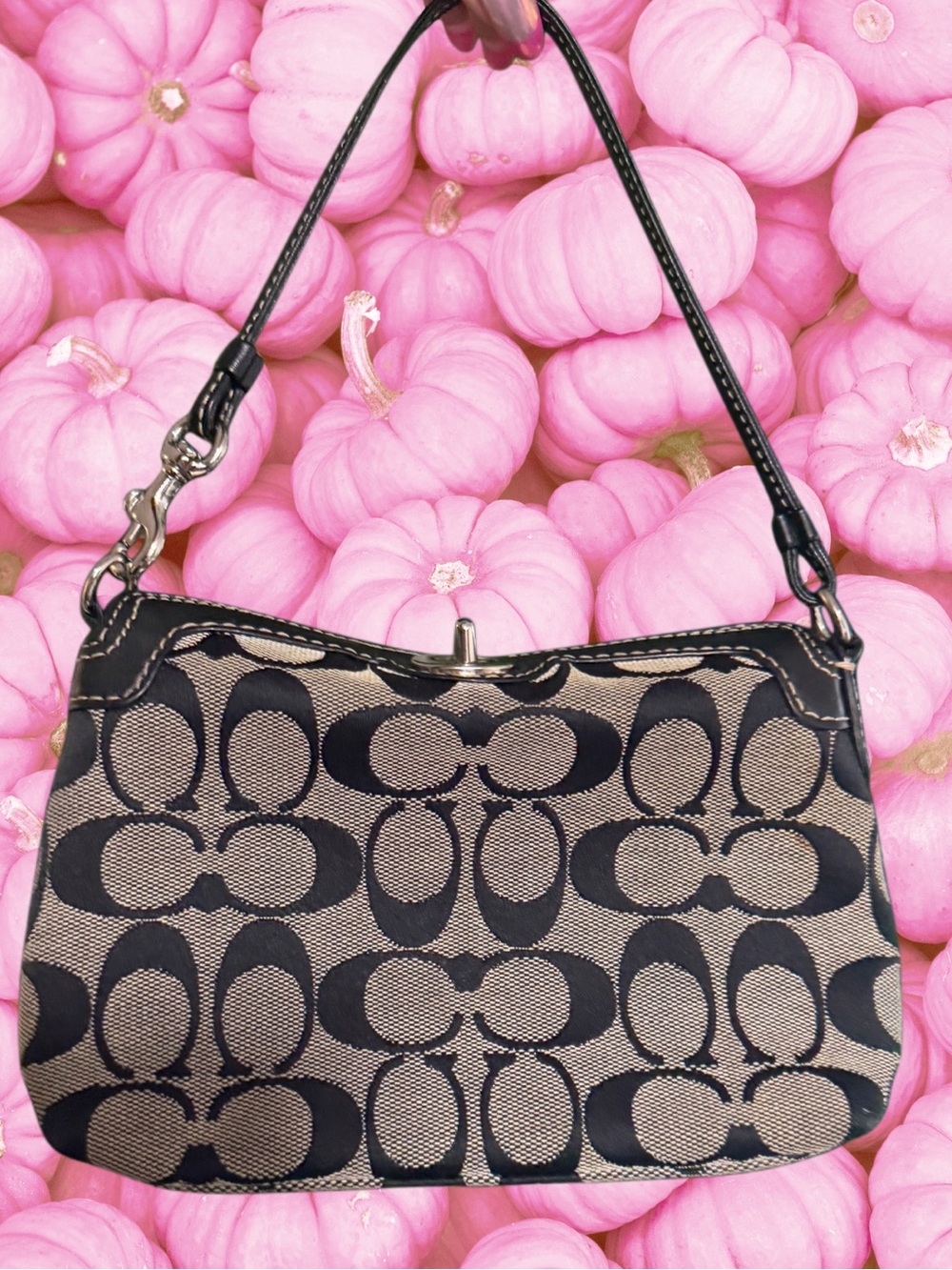 Coach Black & Gray Signature Mini Shoulder Bag